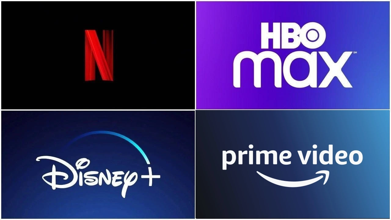 Netflix  1 Yıl